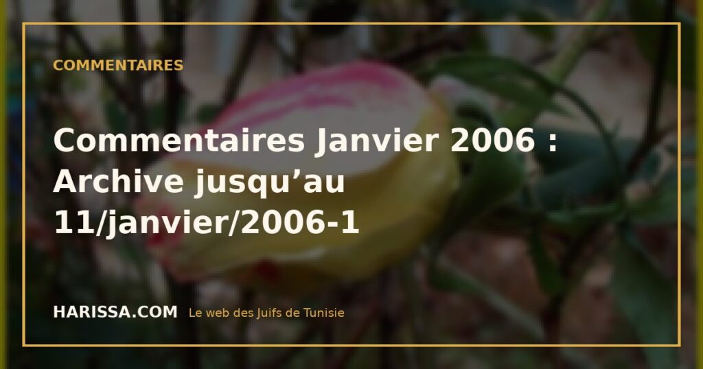 Commentaires Janvier 2006 : Archive jusqu’au 11/janvier/2006-1