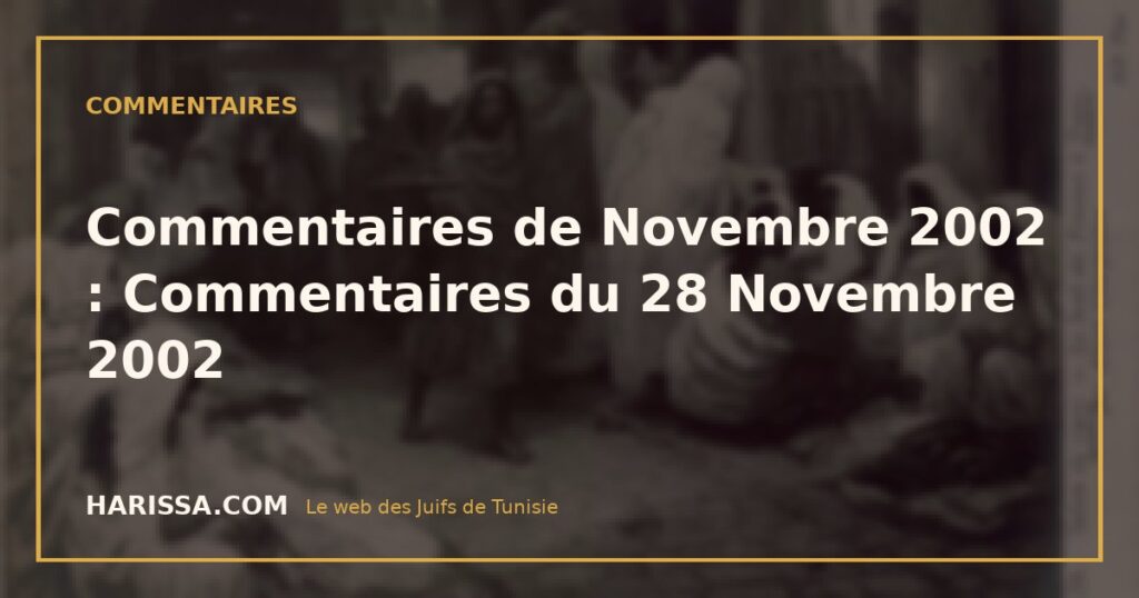 Commentaires de Novembre 2002 : Commentaires du 28 Novembre 2002 Commentaires de Novembre 2002 : Commentaires du 28 Novembre 2002