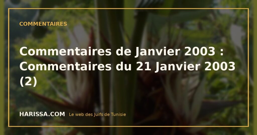 Commentaires de Janvier 2003 : Commentaires du 21 Janvier 2003 (2) Commentaires de Janvier 2003 : Commentaires du 21 Janvier 2003 (2)