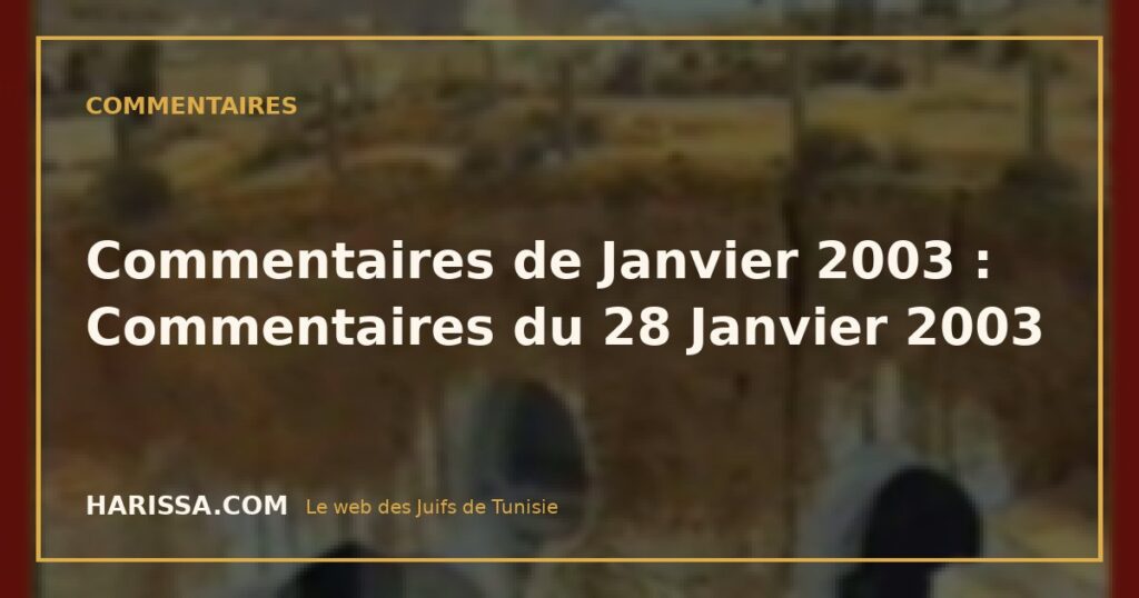 Commentaires de Janvier 2003 : Commentaires du 28 Janvier 2003