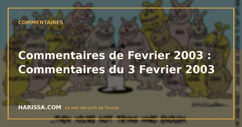 Commentaires de Fevrier 2003 : Commentaires du 3 Fevrier 2003