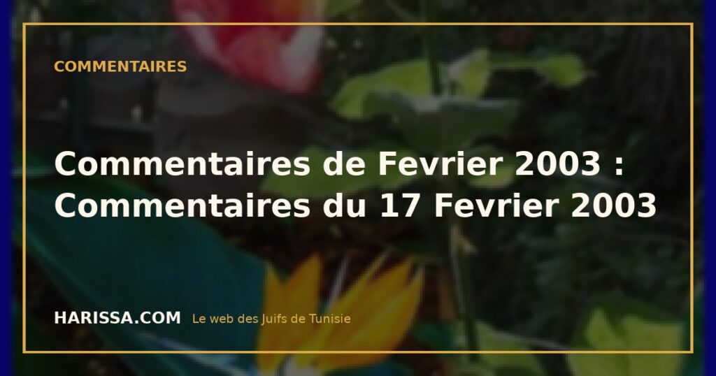 Commentaires de Fevrier 2003 : Commentaires du 17 Fevrier 2003