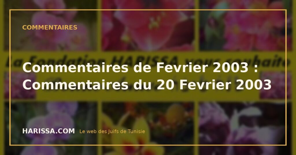 Commentaires de Fevrier 2003 : Commentaires du 20 Fevrier 2003 Commentaires de Fevrier 2003 : Commentaires du 20 Fevrier 2003