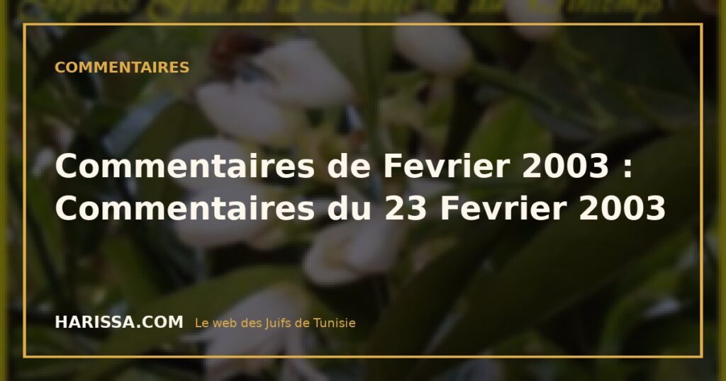 Commentaires de Fevrier 2003 : Commentaires du 23 Fevrier 2003 Commentaires de Fevrier 2003 : Commentaires du 23 Fevrier 2003