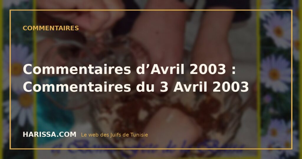 Commentaires d’Avril 2003 : Commentaires du 3 Avril 2003
