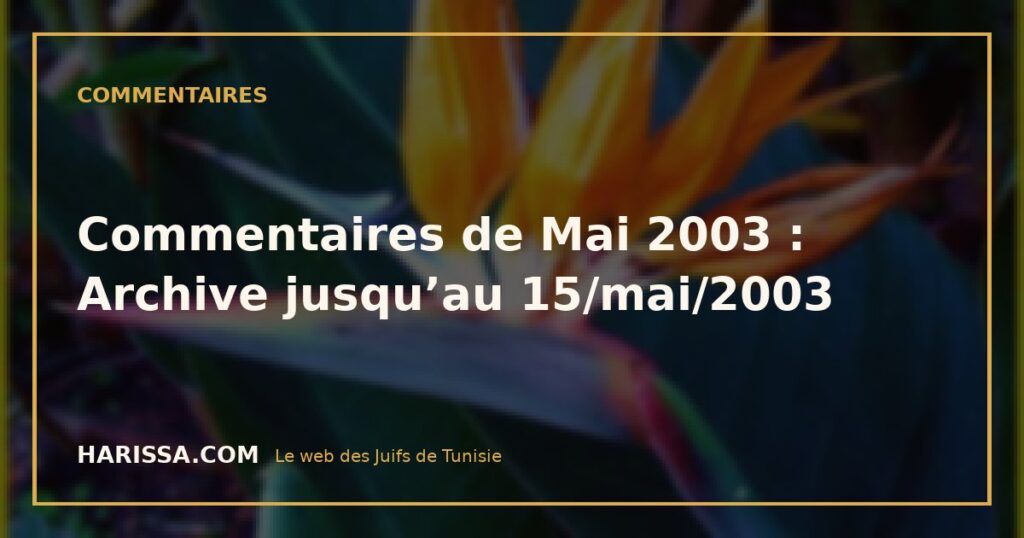 Commentaires de Mai 2003 : Archive jusqu'au 15/mai/2003 Commentaires de Mai 2003 : Archive jusqu’au 15/mai/2003