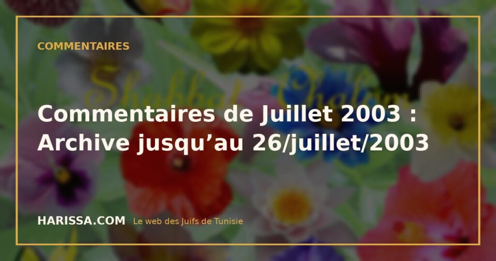 Commentaires de Juillet 2003 : Archive jusqu’au 26/juillet/2003