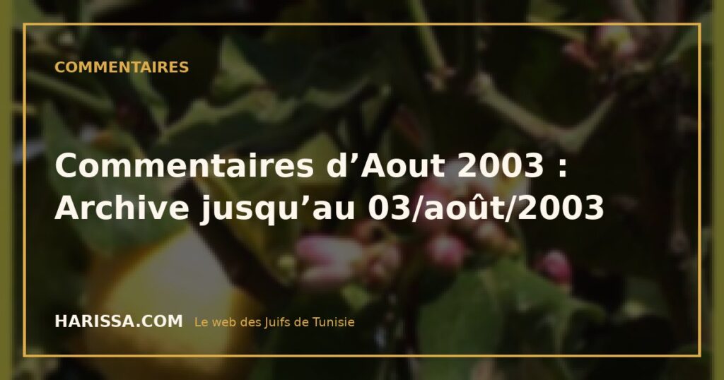 Commentaires d’Aout 2003 : Archive jusqu’au 03/août/2003