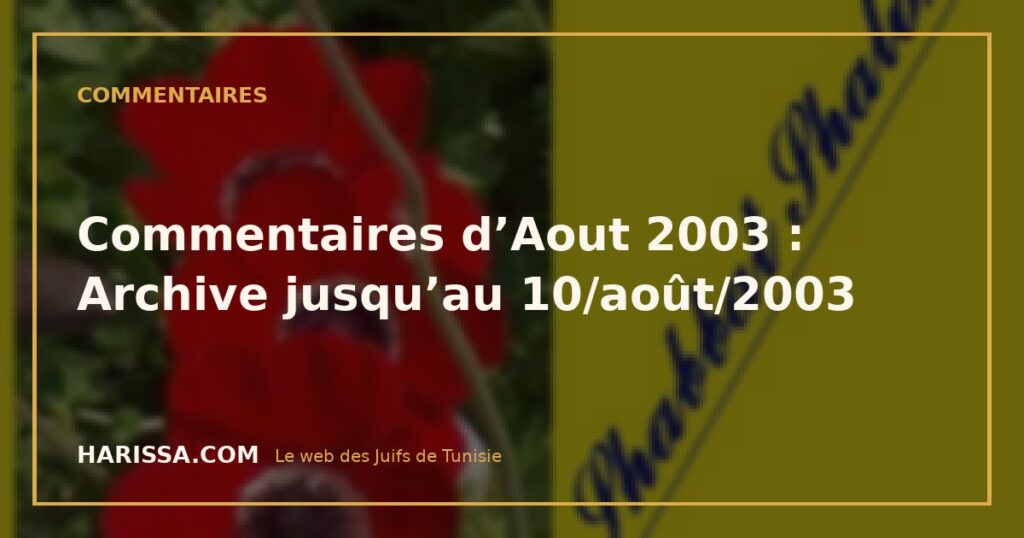 Commentaires d'Aout 2003 : Archive jusqu'au 10/août/2003 Commentaires d’Aout 2003 : Archive jusqu’au 10/août/2003