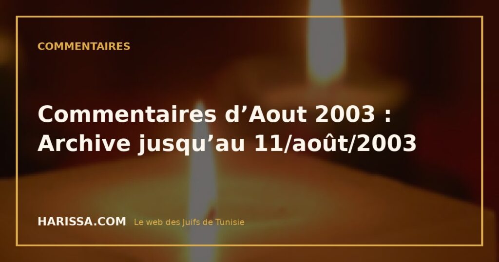 Commentaires d’Aout 2003 : Archive jusqu’au 11/août/2003