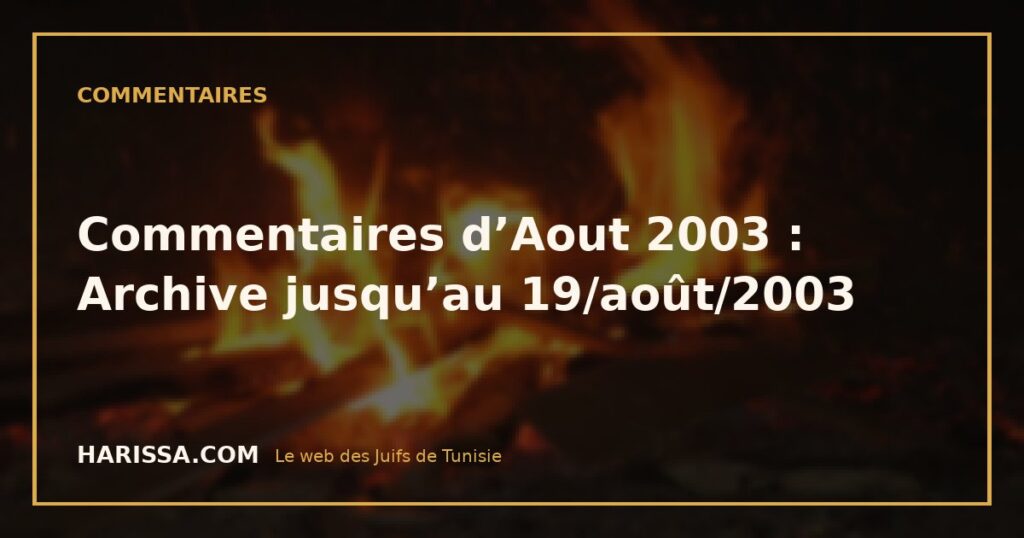 Commentaires d’Aout 2003 : Archive jusqu’au 19/août/2003