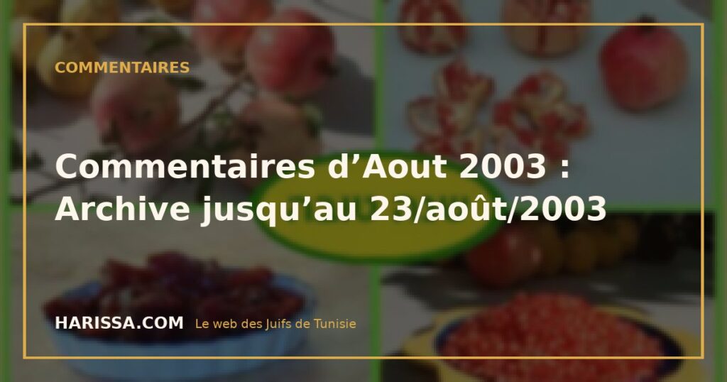 Commentaires d’Aout 2003 : Archive jusqu’au 23/août/2003