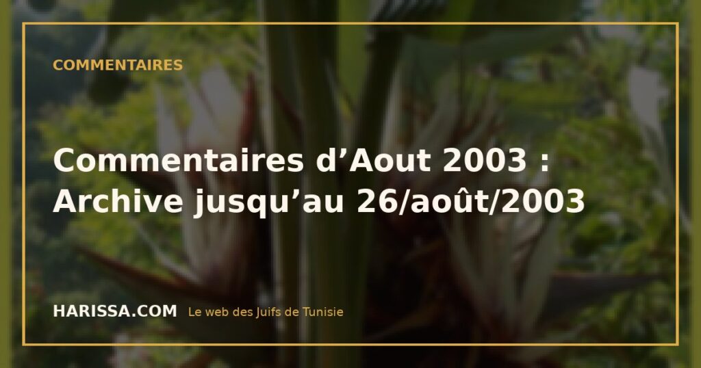 Commentaires d’Aout 2003 : Archive jusqu’au 26/août/2003