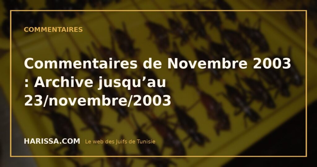 Commentaires de Novembre 2003 : Archive jusqu’au 23/novembre/2003