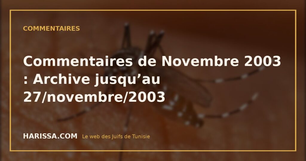 Commentaires de Novembre 2003 : Archive jusqu’au 27/novembre/2003
