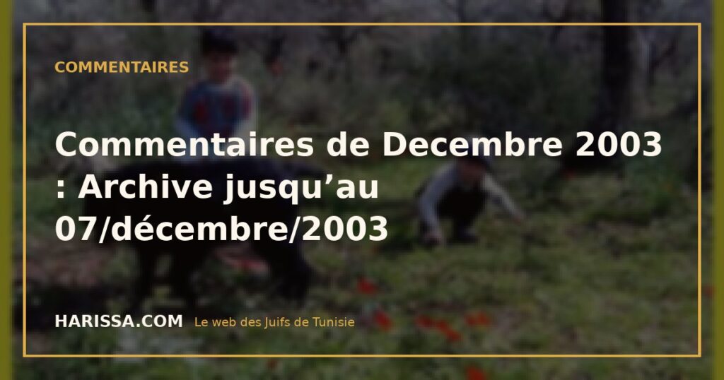 Commentaires de Decembre 2003 : Archive jusqu’au 07/décembre/2003