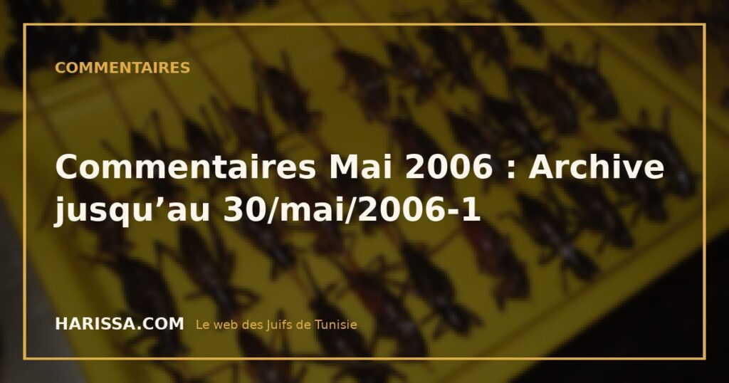 Commentaires Mai 2006 : Archive jusqu’au 30/mai/2006-1