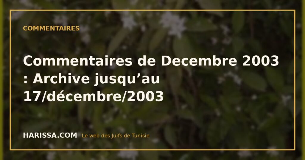 Commentaires de Decembre 2003 : Archive jusqu’au 17/décembre/2003