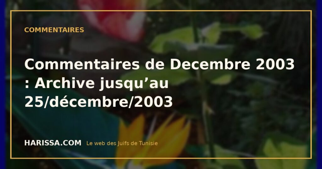 Commentaires de Decembre 2003 : Archive jusqu'au 25/décembre/2003 Commentaires de Decembre 2003 : Archive jusqu’au 25/décembre/2003