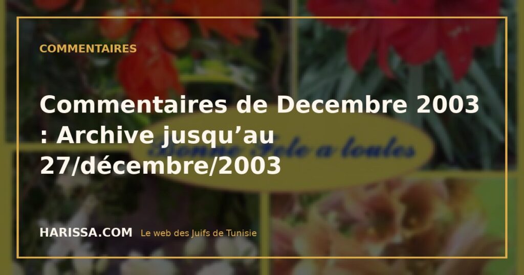 Commentaires de Decembre 2003 : Archive jusqu'au 27/décembre/2003 Commentaires de Decembre 2003 : Archive jusqu’au 27/décembre/2003