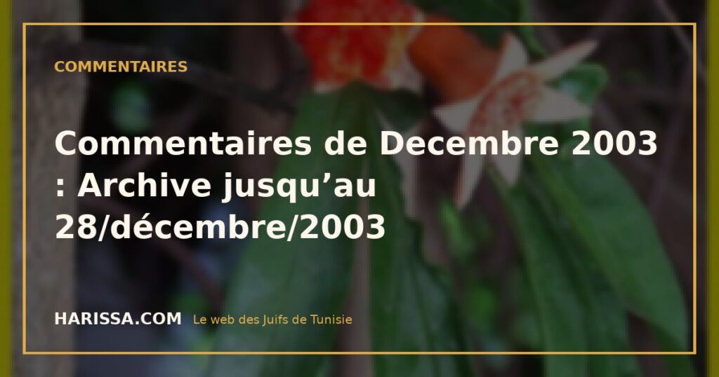 Commentaires de Decembre 2003 : Archive jusqu’au 28/décembre/2003