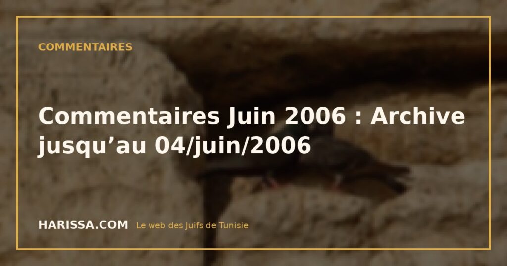 Commentaires Juin 2006 : Archive jusqu’au 04/juin/2006
