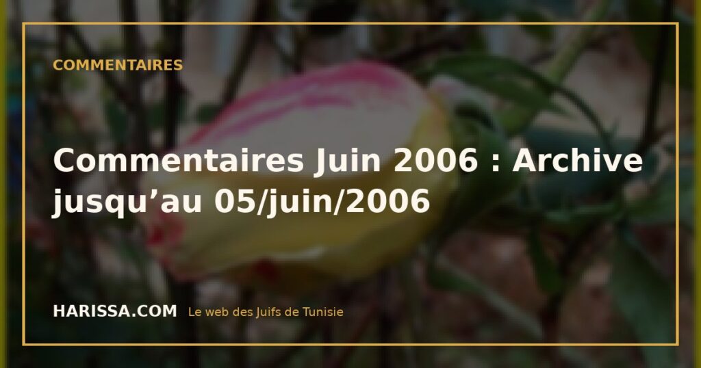 Commentaires Juin 2006 : Archive jusqu’au 05/juin/2006
