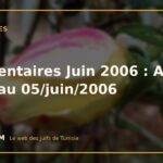 Commentaires Juin 2006 : Archive jusqu'au 05/juin/2006 Commentaires Juin 2006 : Archive jusqu’au 05/juin/2006