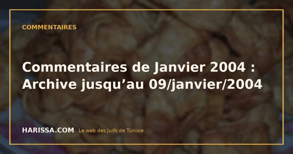 Commentaires de Janvier 2004 : Archive jusqu’au 09/janvier/2004