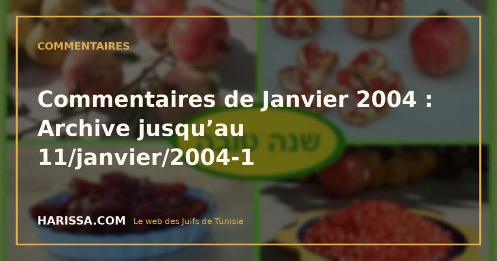 Commentaires de Janvier 2004 : Archive jusqu'au 11/janvier/2004-1 Commentaires de Janvier 2004 : Archive jusqu’au 11/janvier/2004-1