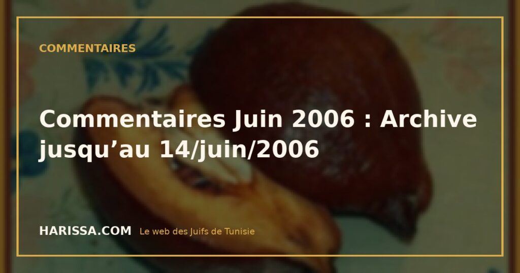 Commentaires Juin 2006 : Archive jusqu’au 14/juin/2006