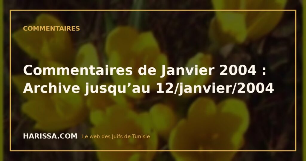 Commentaires de Janvier 2004 : Archive jusqu’au 12/janvier/2004