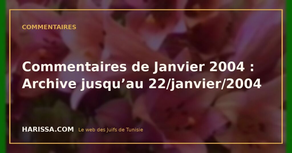 Commentaires de Janvier 2004 : Archive jusqu’au 22/janvier/2004