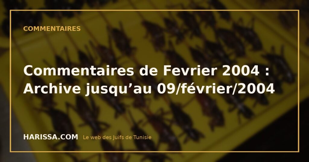 Commentaires de Fevrier 2004 : Archive jusqu’au 09/février/2004