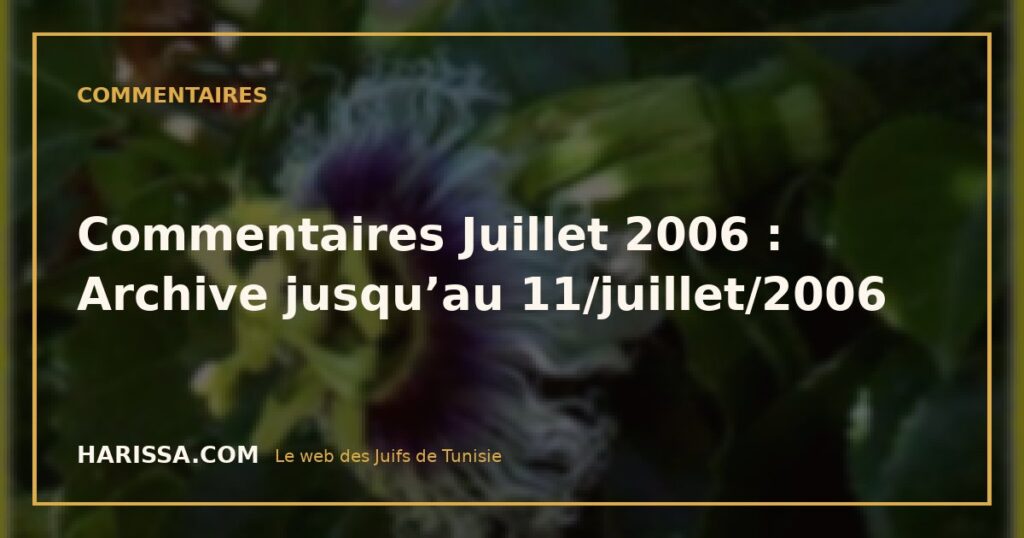 Commentaires Juillet 2006 : Archive jusqu’au 11/juillet/2006