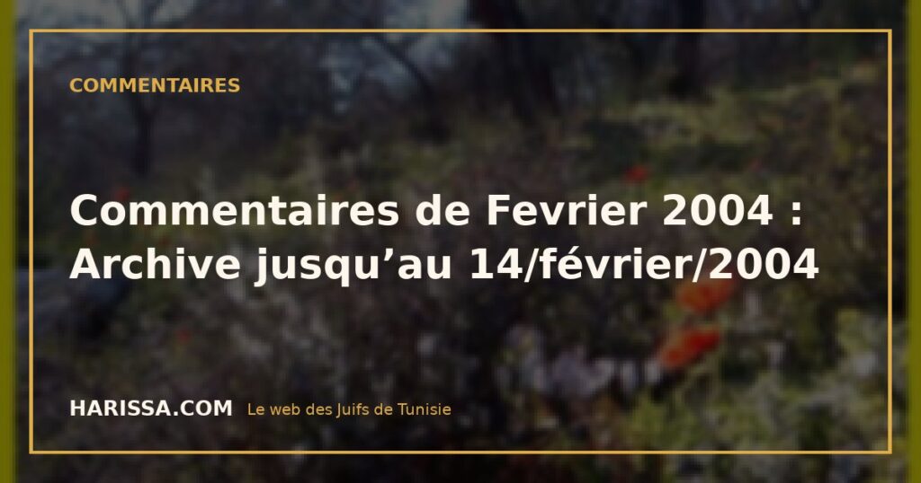 Commentaires de Fevrier 2004 : Archive jusqu'au 14/février/2004 Commentaires de Fevrier 2004 : Archive jusqu’au 14/février/2004