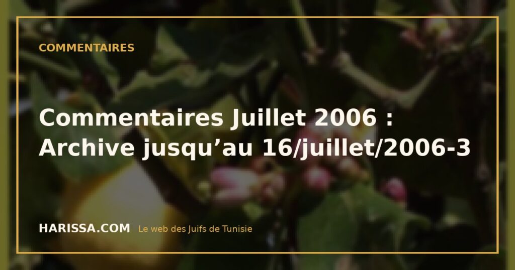 Commentaires Juillet 2006 : Archive jusqu’au 16/juillet/2006-3