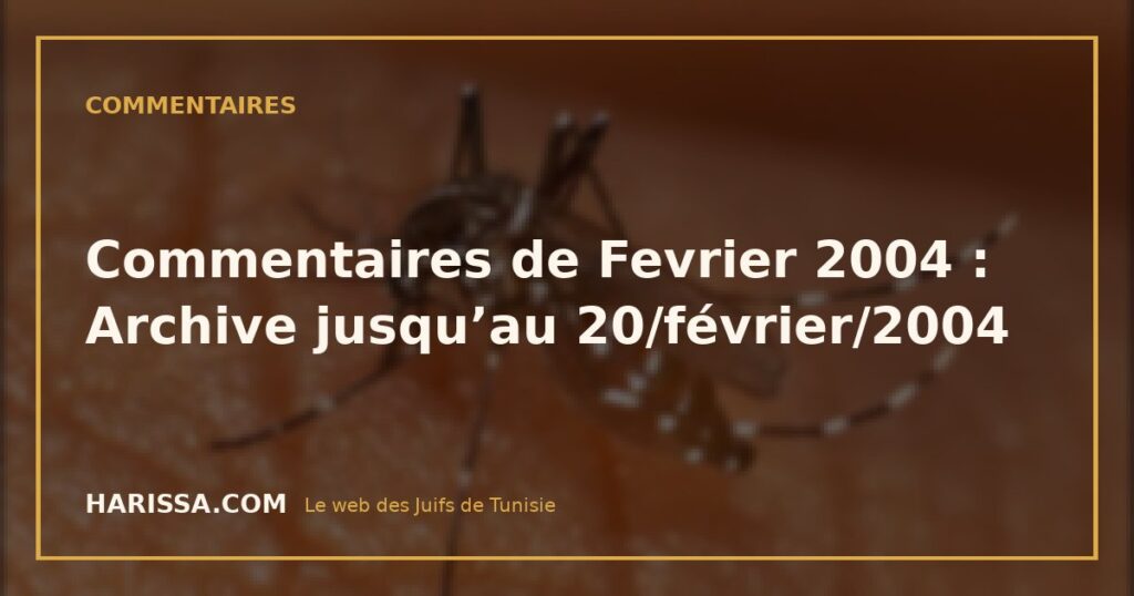Commentaires de Fevrier 2004 : Archive jusqu’au 20/février/2004