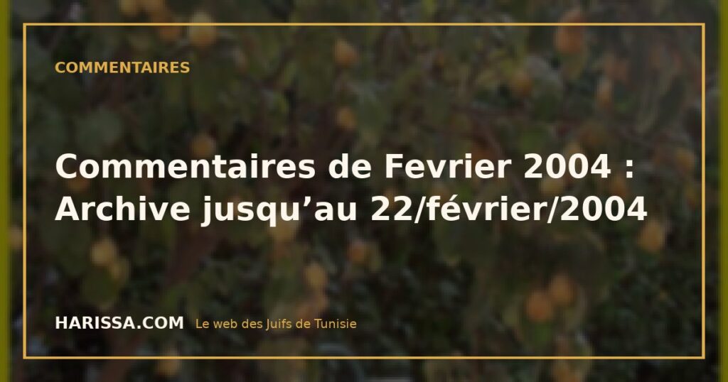 Commentaires de Fevrier 2004 : Archive jusqu’au 22/février/2004