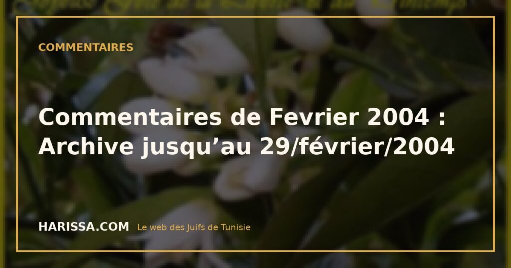 Commentaires de Fevrier 2004 : Archive jusqu’au 29/février/2004