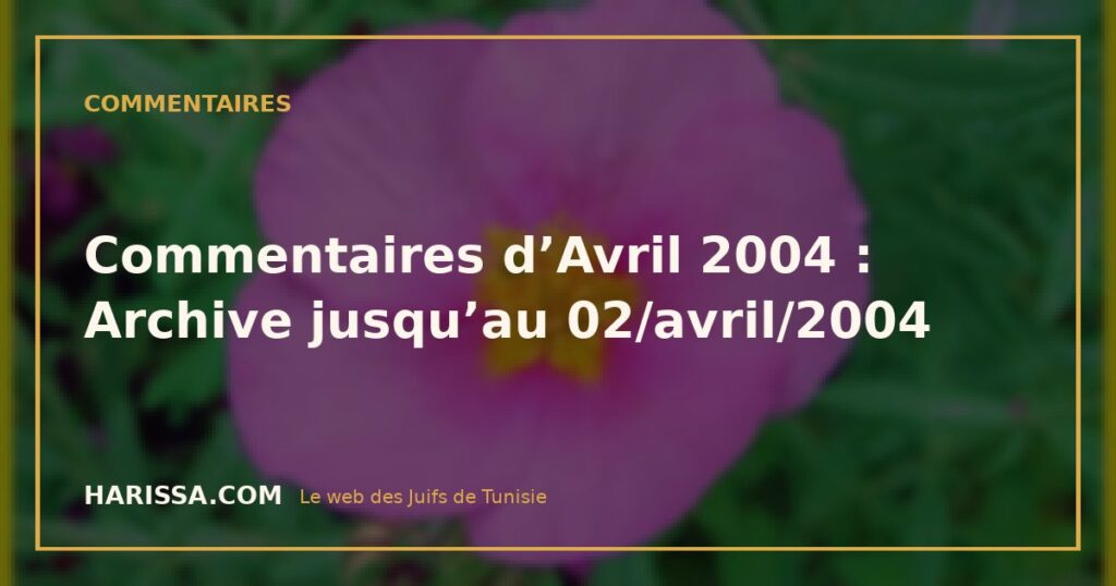 Commentaires d’Avril 2004 : Archive jusqu’au 02/avril/2004