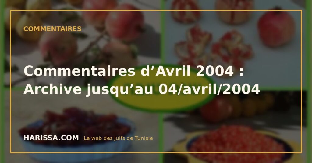 Commentaires d’Avril 2004 : Archive jusqu’au 04/avril/2004