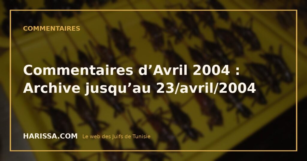 Commentaires d’Avril 2004 : Archive jusqu’au 23/avril/2004