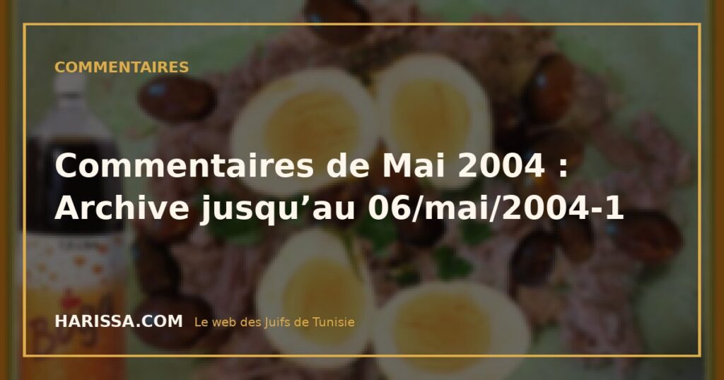 Commentaires de Mai 2004 : Archive jusqu’au 06/mai/2004-1