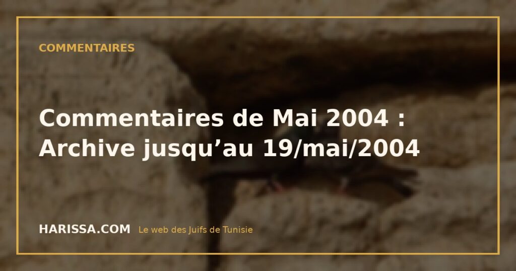 Commentaires de Mai 2004 : Archive jusqu’au 19/mai/2004