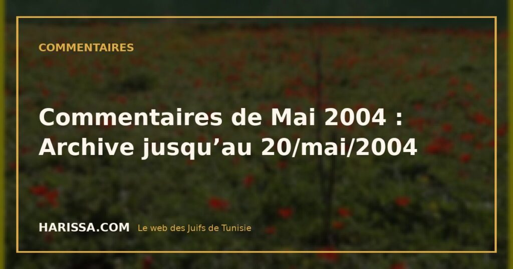 Commentaires de Mai 2004 : Archive jusqu’au 20/mai/2004