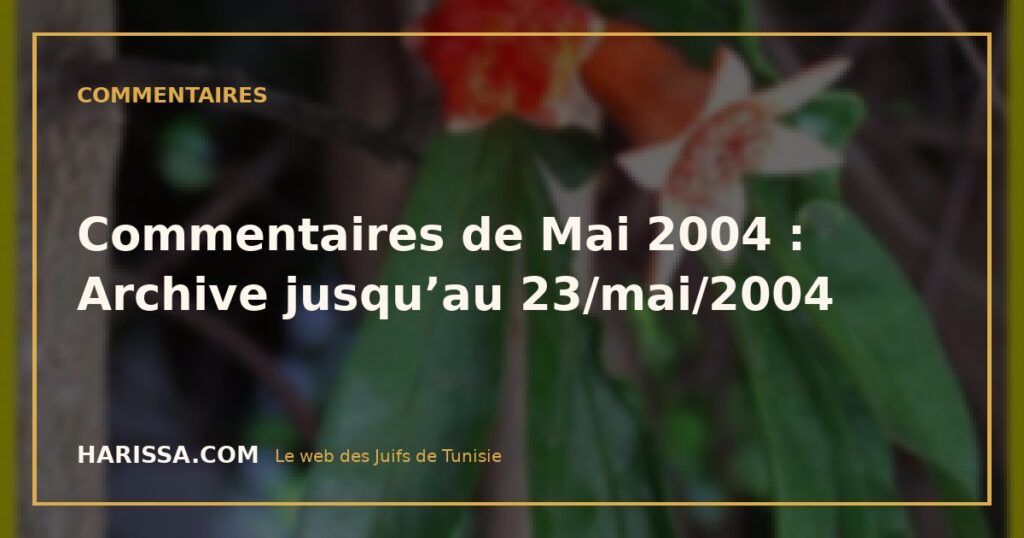 Commentaires de Mai 2004 : Archive jusqu’au 23/mai/2004