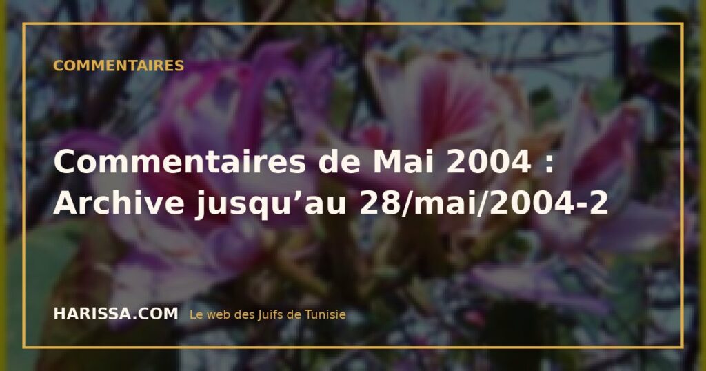 Commentaires de Mai 2004 : Archive jusqu’au 28/mai/2004-2