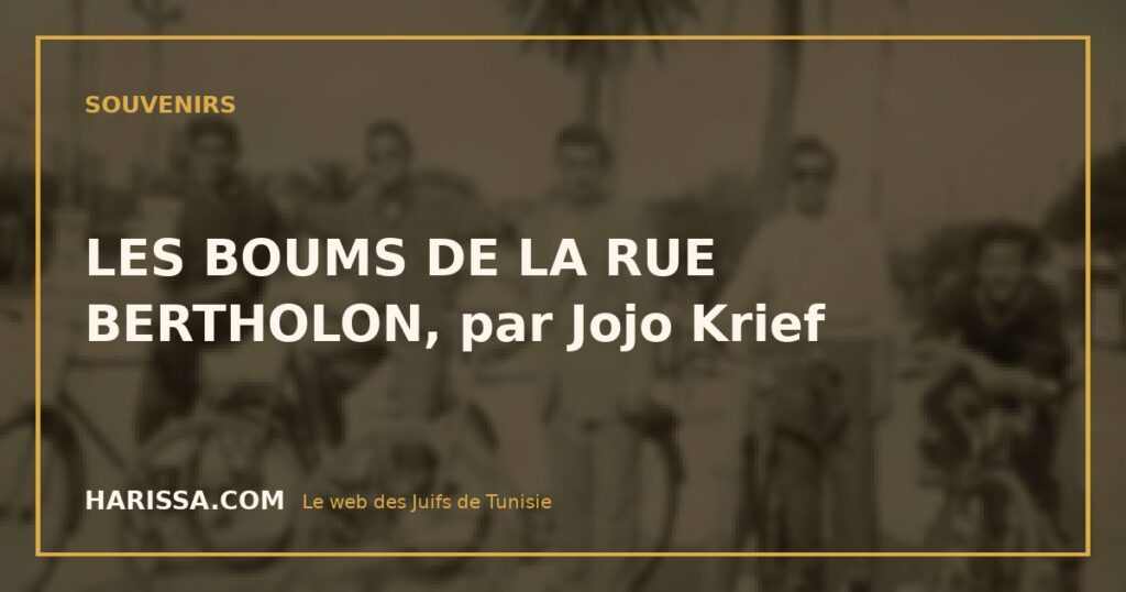 LES BOUMS DE LA RUE BERTHOLON, par Jojo Krief
