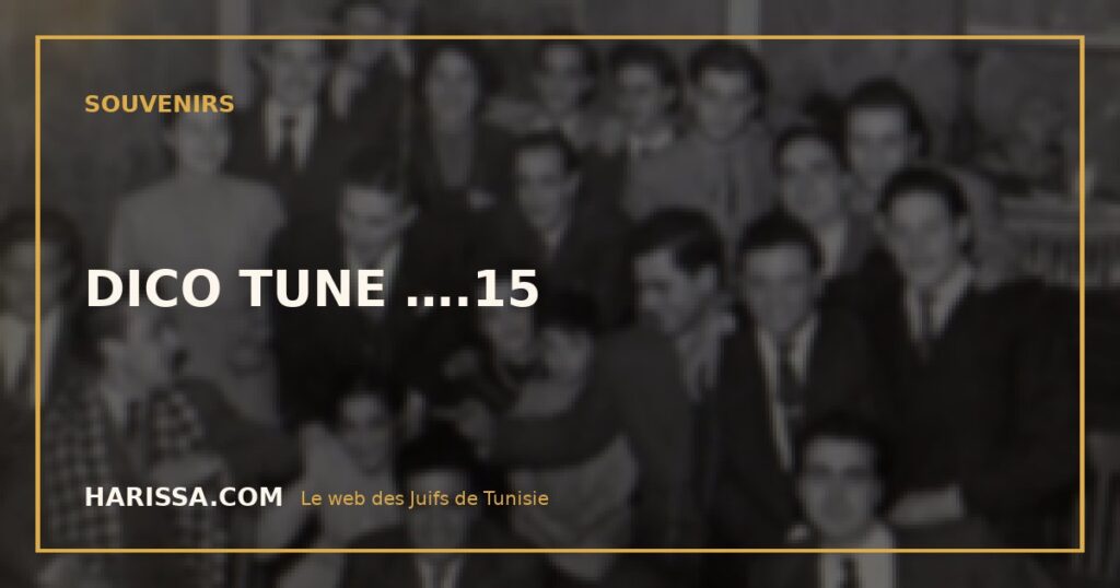 DICO TUNE ….15